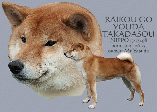 Raikou Go Youda Takadasou